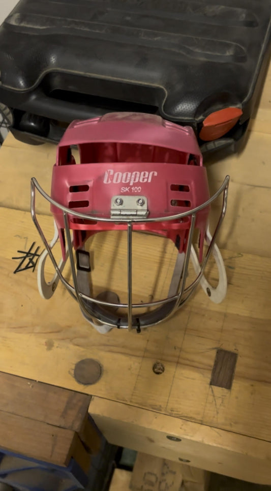 Square Hinge Kilkenny guard